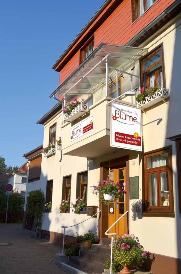 Appartementhaus Blume Bad Pyrmont Esterno foto